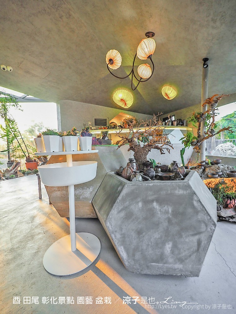 酉 田尾 彰化景點 園藝 盆栽