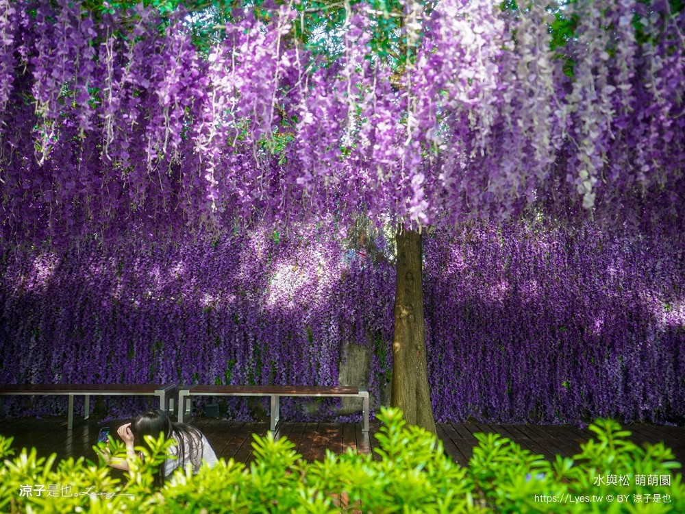 水與松萌萌園 門票 埔里 親子景點 動物園 埔里一日遊推薦 南投農場 羊駝 水豚君 南投景點