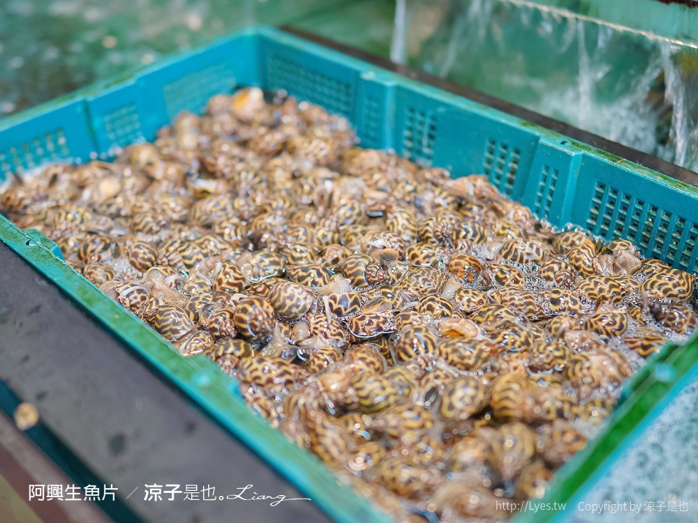 阿興生魚片 菜單 屏東墾丁必吃 後壁湖海鮮美食 餐廳 新鮮生魚片 CP值