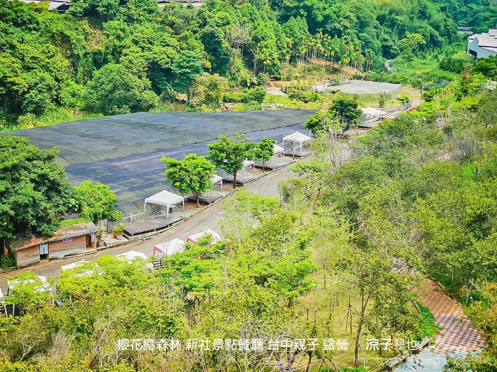 新社景點-櫻花鳥森林 迷你小火車x溜滑梯戲水區x鸚鵡放飛秀x露營 不止花好拍 親子旅遊也好玩！