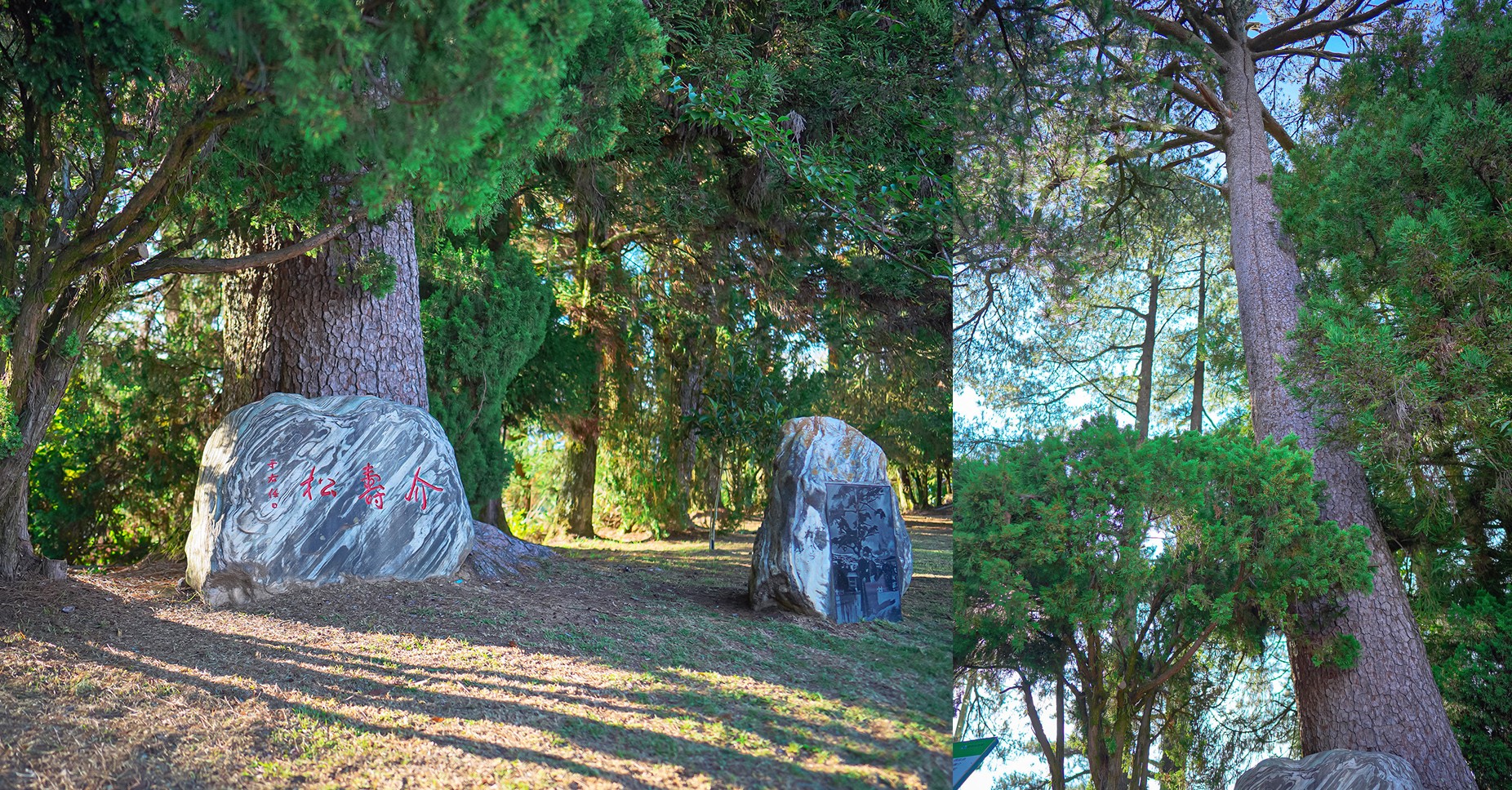 福壽山農場怎麼玩 武陵農場攻略 2022臺中購物節 一日遊 二日遊 門票 民宿房型 住宿 露營 蘋果 楓葉