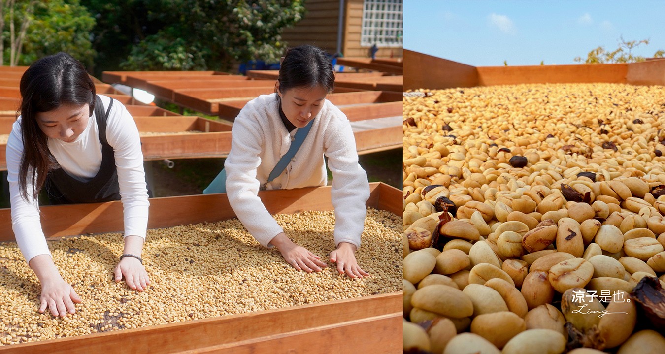 大鋤花間 咖啡生態農場 菜單 台南景點 台南東山175咖啡公路 咖啡館 景觀餐廳