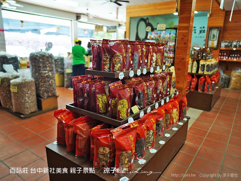 百菇莊 台中新社美食 親子景點