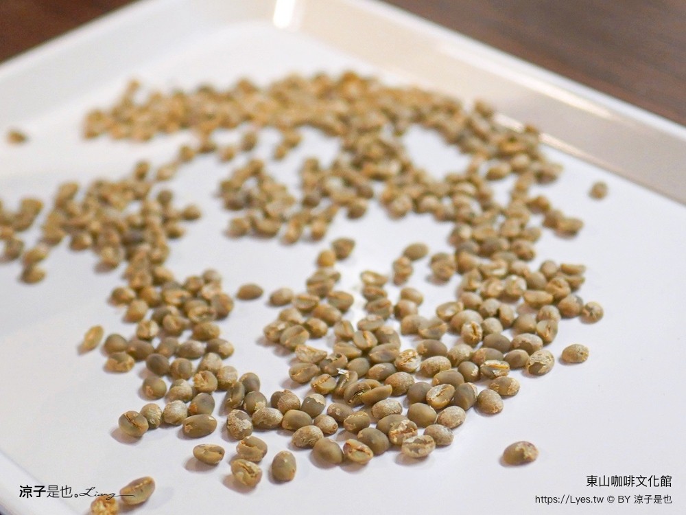東山咖啡文化館 台南景點 東山區農會 十果文創園區 日式碾米廠 台南咖啡館 新開幕