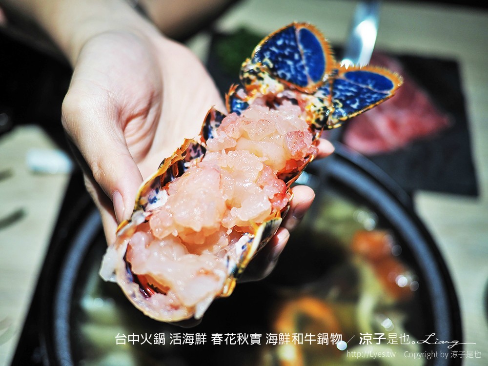 台中火鍋 活海鮮 春花秋實 海鮮和牛鍋物