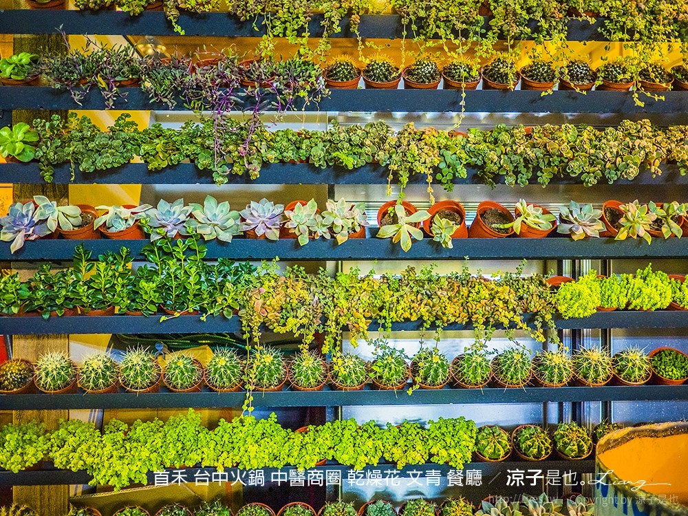 首禾 台中火鍋 中醫商圈 乾燥花 文青 餐廳