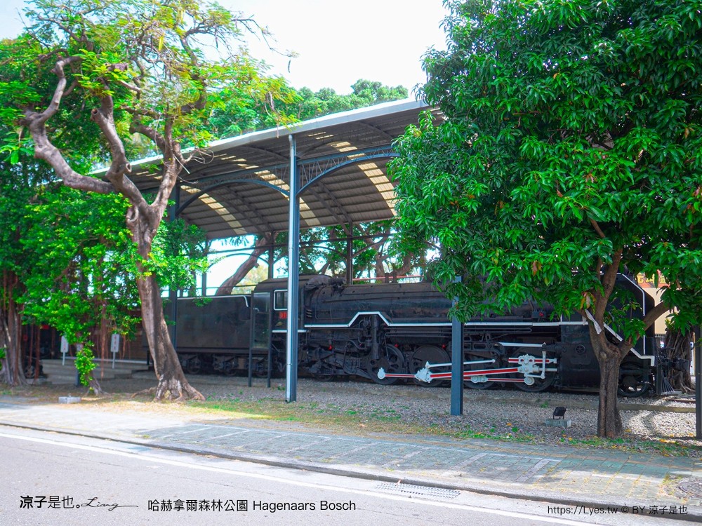 哈赫拿爾森林公園 台南景點 最新公園 森林秘境 開放時間 綠化 生態公園 交通 親子 hagenaars bosch