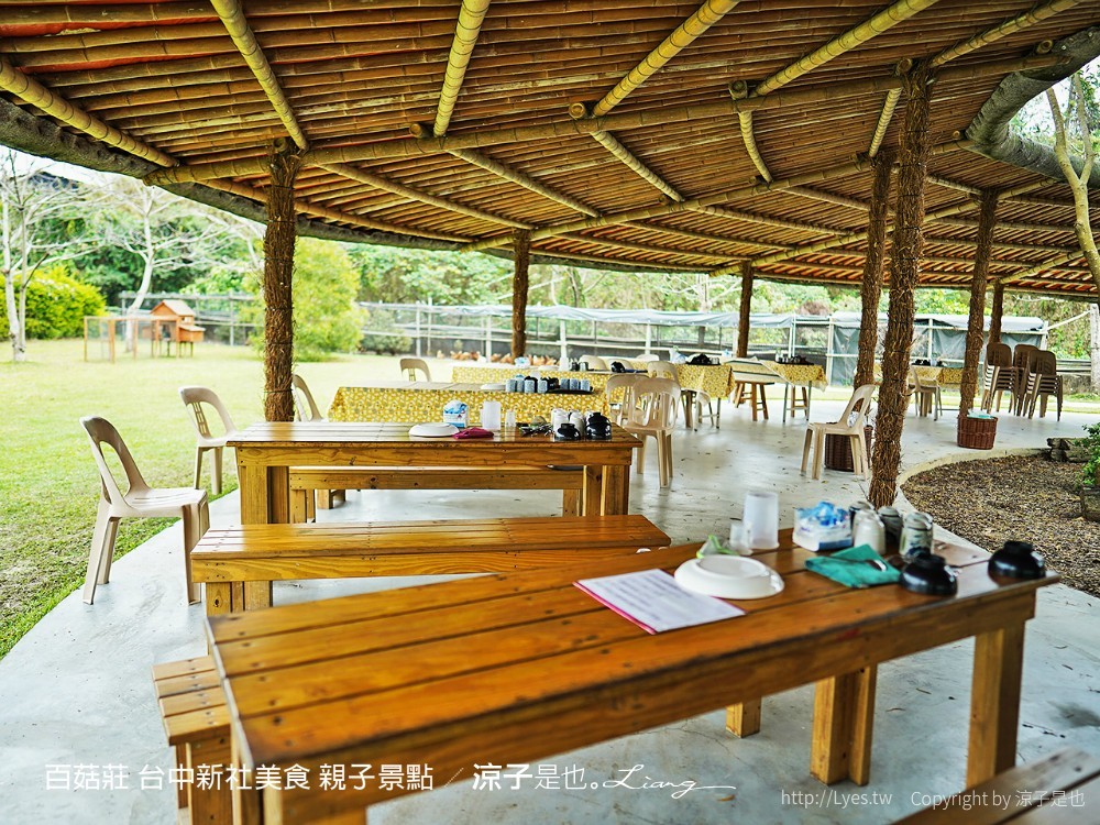 百菇莊 台中新社美食 親子景點