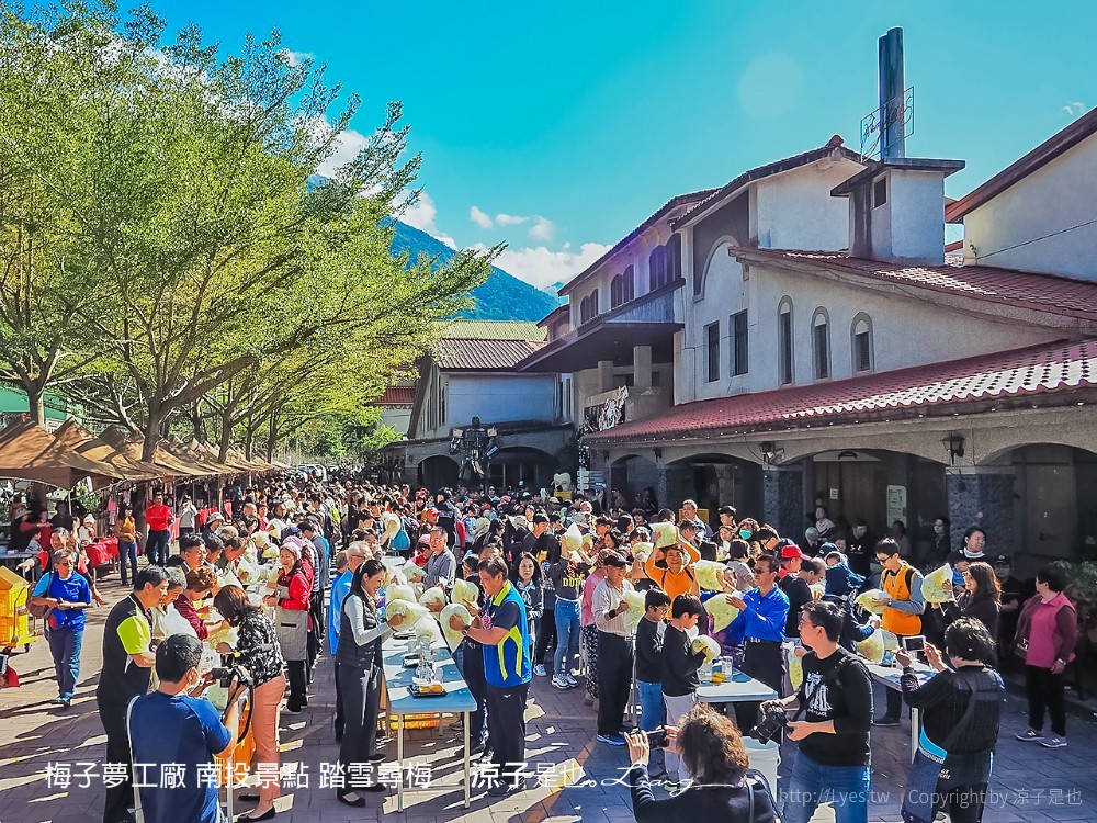 梅子夢工廠 南投景點 踏雪尋梅