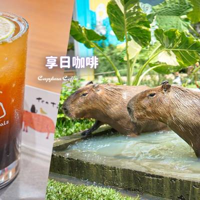 【南投埔里】享日咖啡｜超萌水豚君咖啡館 親子寵物友善＋近距離摸水豚超療癒