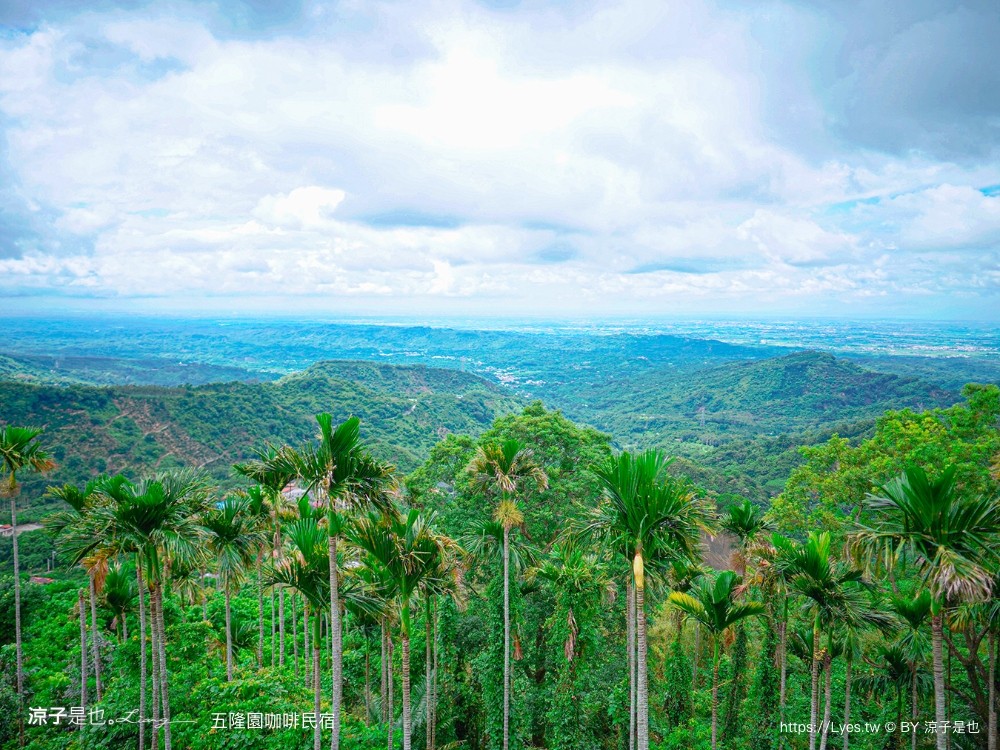 五隆園咖啡B&B景觀莊園 台南東山景觀餐廳 東山咖啡 菜單 台南最高餐廳 合菜餐廳 五隆園咖啡民宿