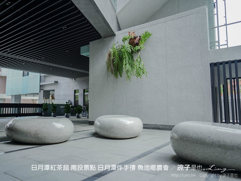 日月潭紅茶館 南投景點 日月潭伴手禮 魚池鄉農會
