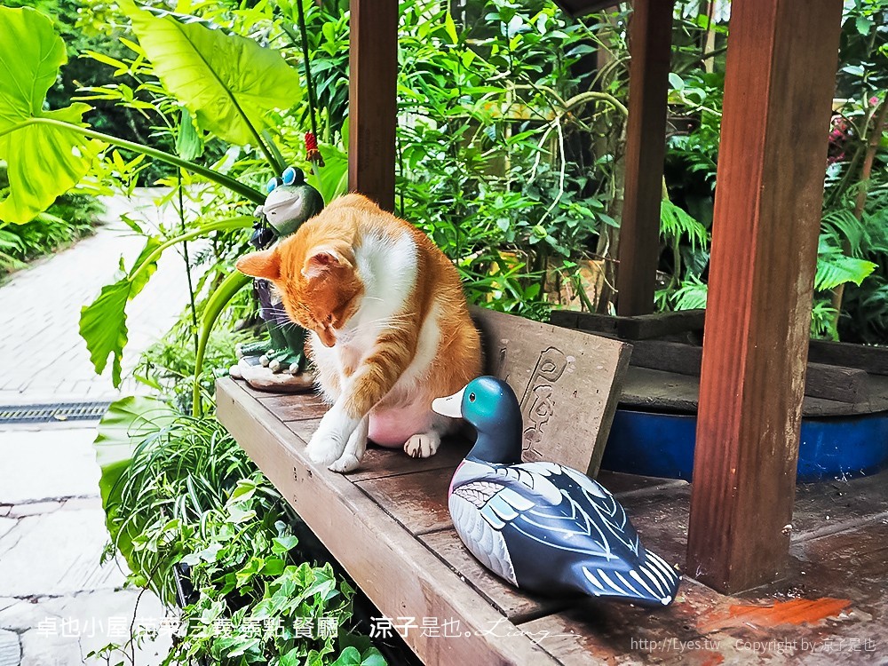 卓也小屋 苗栗 三義 景點 餐廳
