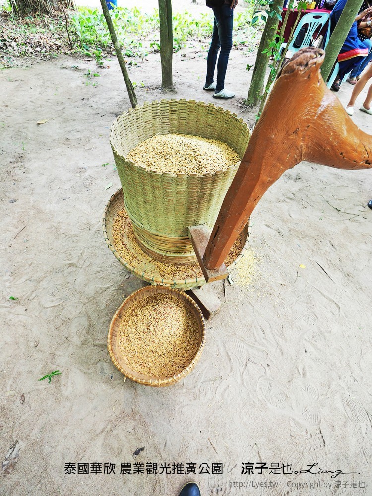 泰國華欣 農業觀光推廣公園