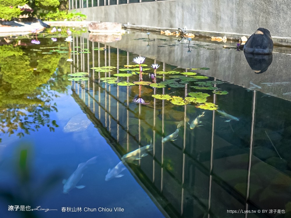 春秋山林 春水堂新品牌 南投新景點 親子景點 國姓美食 餐廳 南投一日遊 茶文化體驗 足浴 南投旅遊 ig打卡景點 chun chiou ville