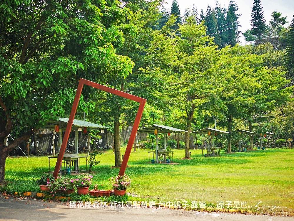 新社景點-櫻花鳥森林 迷你小火車x溜滑梯戲水區x鸚鵡放飛秀x露營 不止花好拍 親子旅遊也好玩！