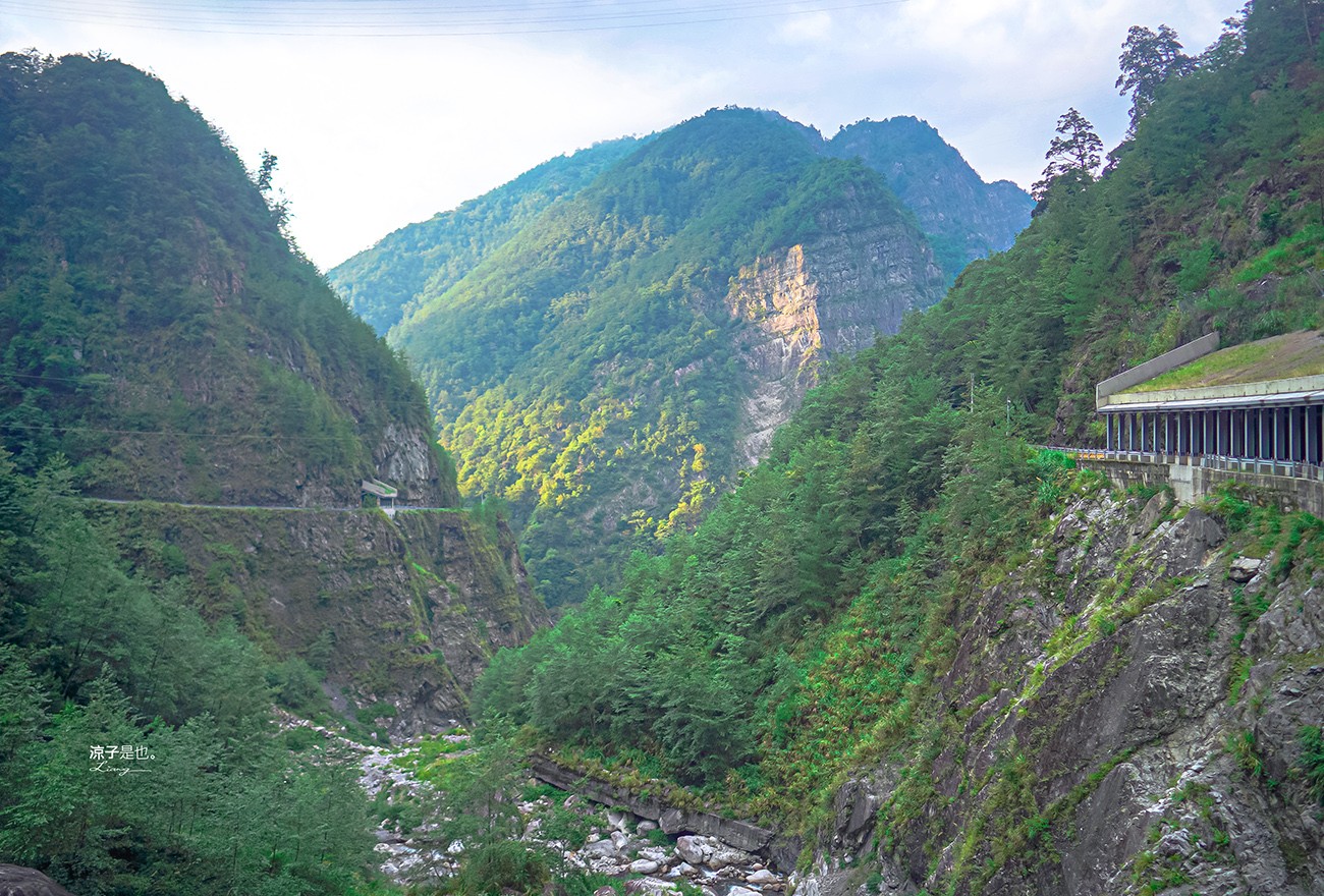 福壽山農場怎麼玩 武陵農場攻略 2022臺中購物節 一日遊 二日遊 門票 民宿房型 住宿 露營 蘋果 楓葉