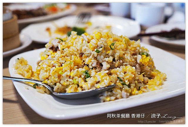 台中-阿秋茶餐廳 香港仔-阿秋大肥鵝港式料理新作