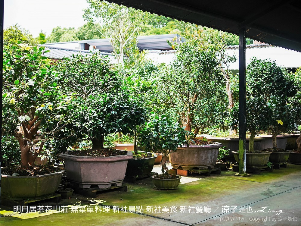 明月居茶花山莊 無菜單料理 新社景點 新社美食 新社餐廳