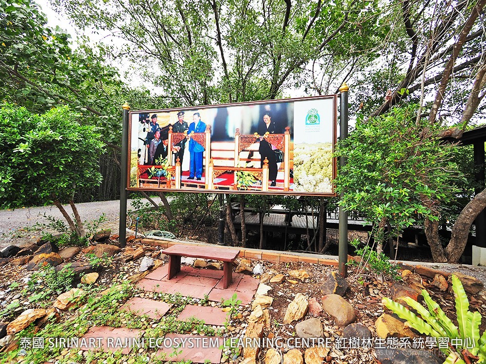 泰國 SIRINART RAJINI ECOSYSTEM LEARNING CENTRE 紅樹林生態系統學習中心