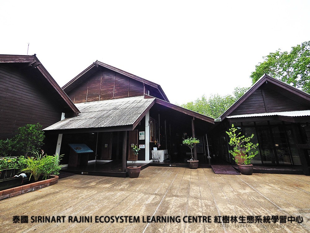 泰國 SIRINART RAJINI ECOSYSTEM LEARNING CENTRE 紅樹林生態系統學習中心