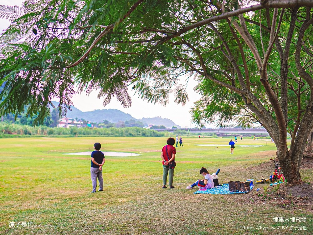 埔里景點 埔里內埔飛場 欒樹親子景點 南投藍花楹花道 賞花秘境 草地野餐 放風箏 玩球