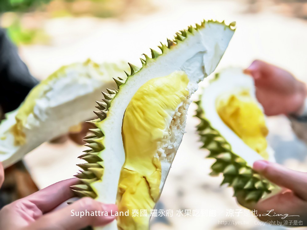 suphattra land 泰國 羅勇府 水果吃到飽