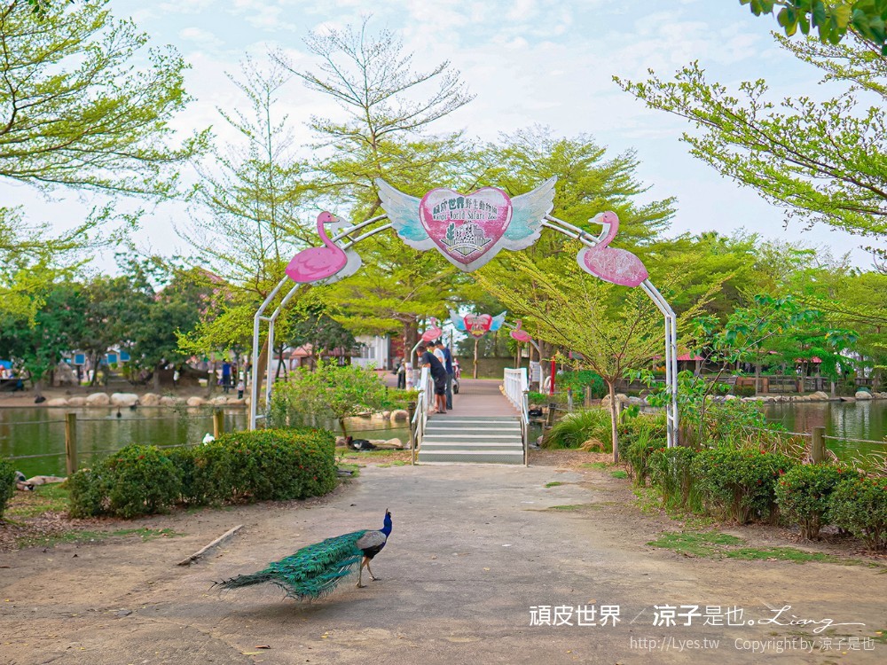 頑皮世界野生動物園攻略 門票優惠 台南親子景點 南台灣動物園 水豚君 長頸鹿 遊樂設施 戲水池