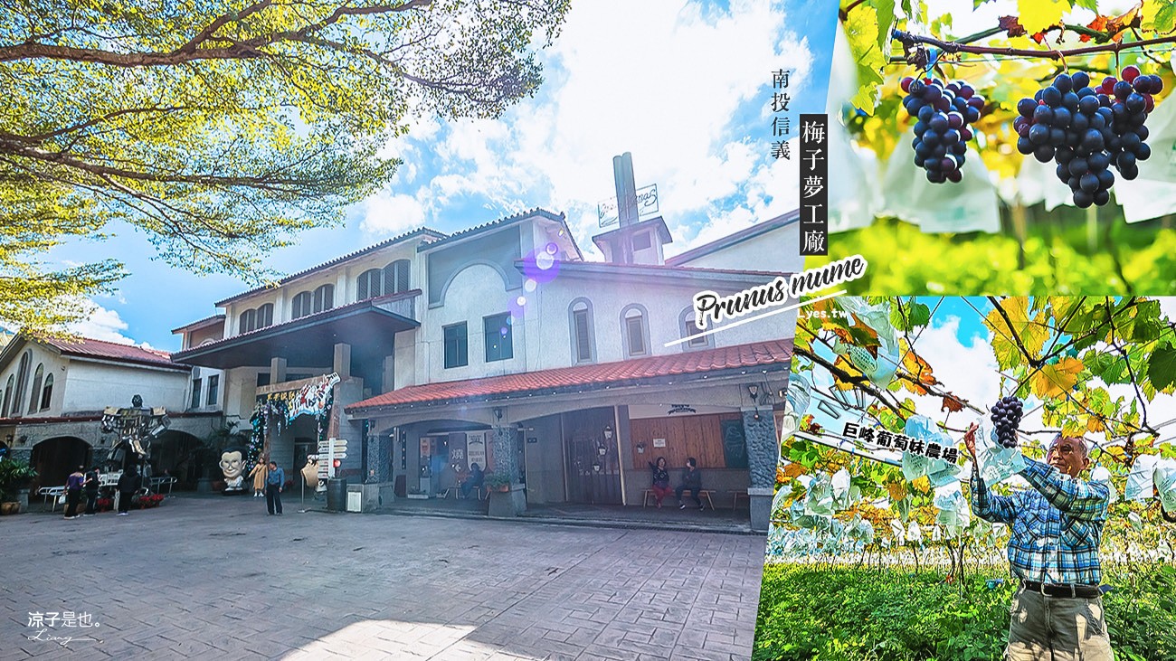 南投-梅子夢工廠 踏雪尋梅開鑼啦！泡菜DIY、賞梅、葡萄妹農場採葡萄 信義鄉一日遊