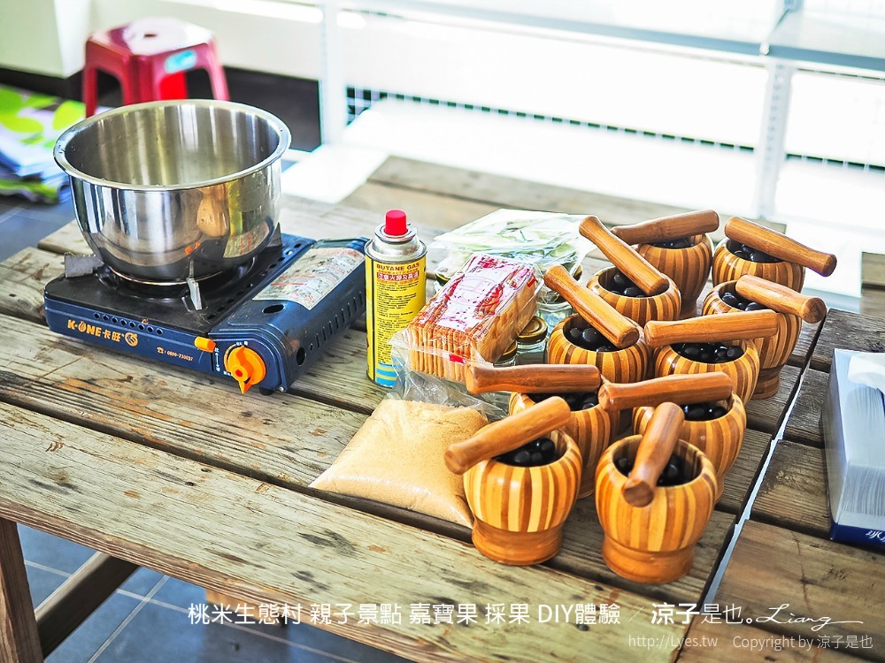 桃米生態村 南投埔里 親子景點 嘉寶果 採果 diy體驗