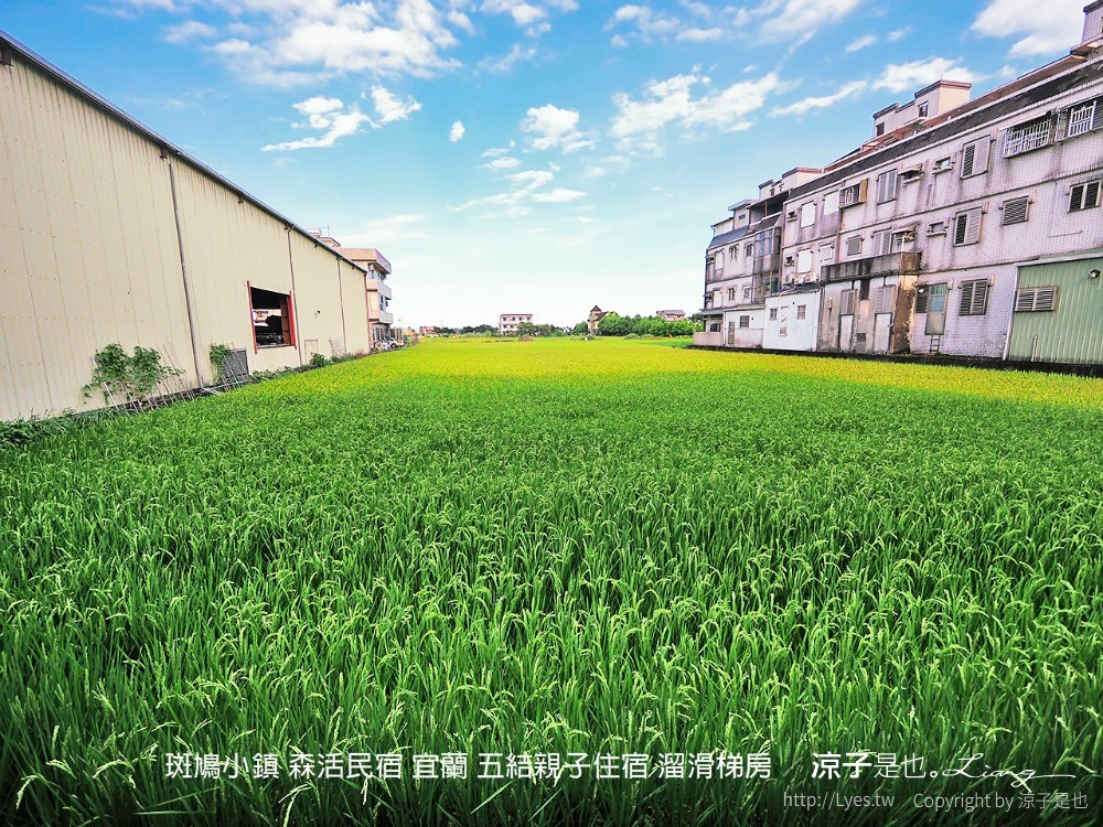 斑鳩小鎮 森活民宿 宜蘭 五結親子住宿 溜滑梯房