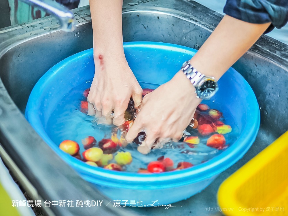 新峰農場 台中新社 醃桃DIY