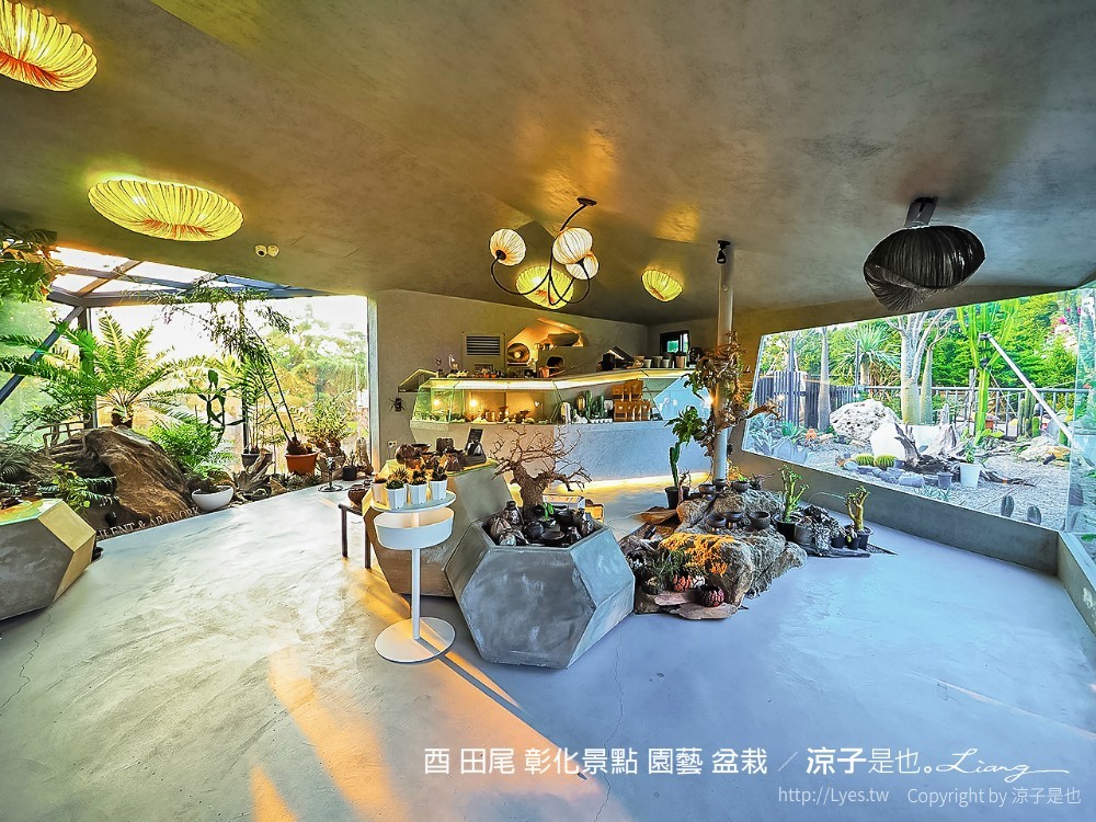 酉 田尾 彰化景點 園藝 盆栽