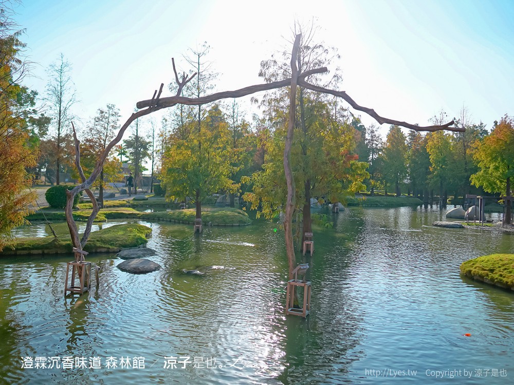 澄霖沉香味道森林館 雲林景點 愛心落羽松 湖畔步道 水之教堂 台版兼六園