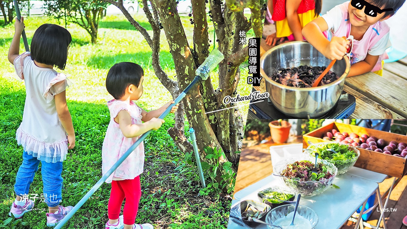 埔里景點-果寶歡酵觀光農場 親子採嘉寶果x樹葡萄果醬DIYx品嚐百香果沙拉 桃米生態村親子體驗好好玩