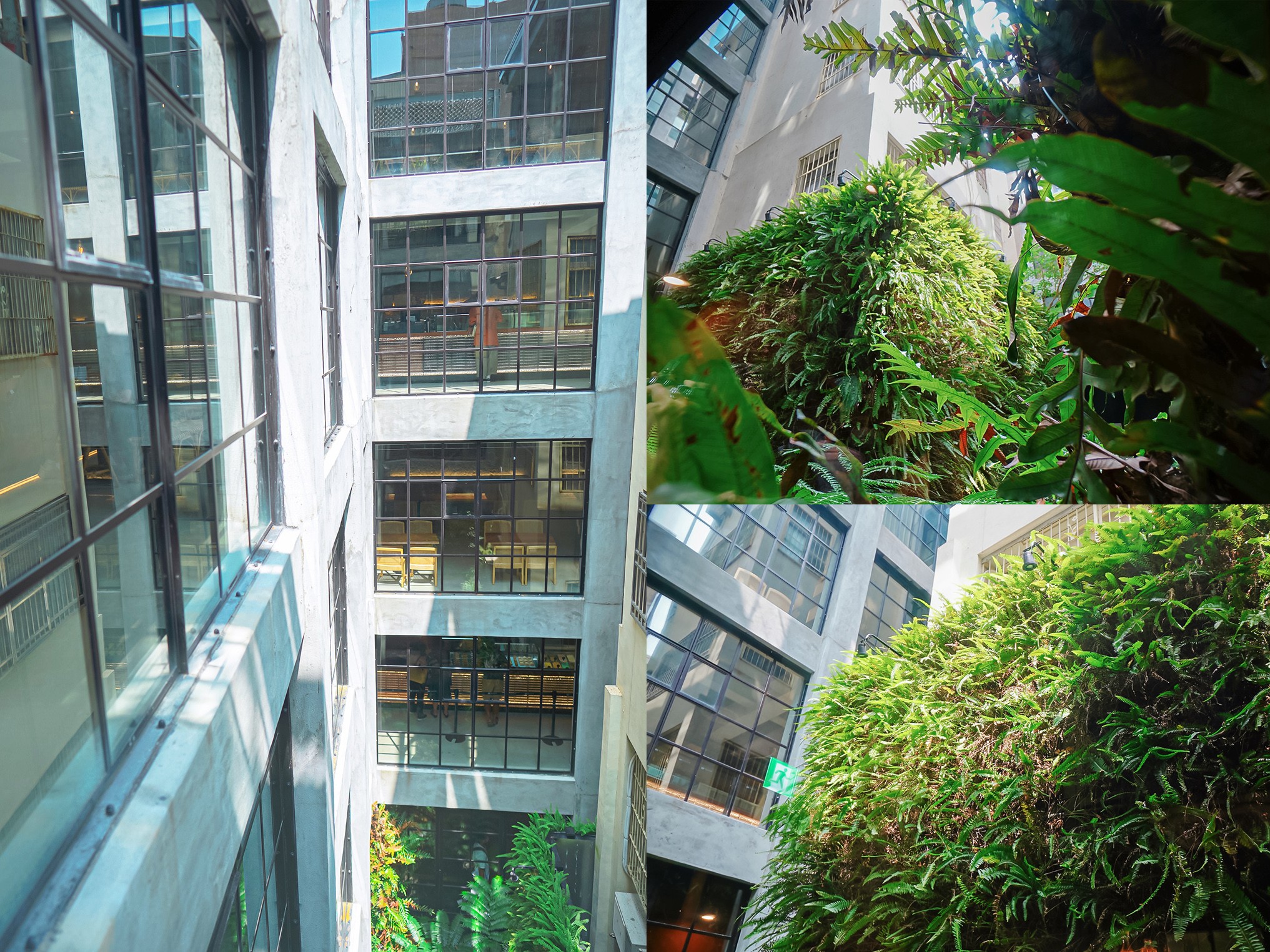 南埕衖事 菜單 2022台南爆紅景點 森林系網美 冰淇淋店 伴手禮 飯店改建 日本建築大師 藤本壯介 迷路