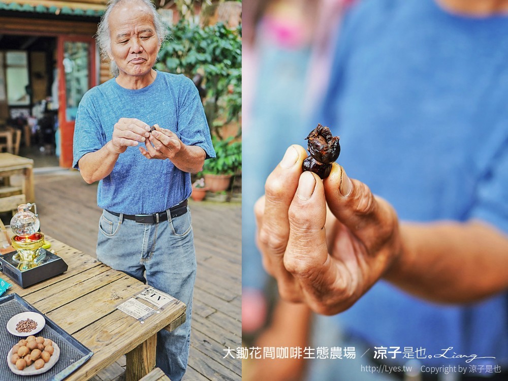 大鋤花間 咖啡生態農場 菜單 台南景點 台南東山175咖啡公路 咖啡館 景觀餐廳
