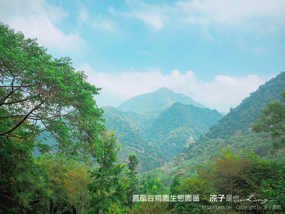 鳳凰谷鳥園生態園區 南投 親子景點 森林溜滑梯 賞鳥 DIY 鹿谷 步道 吊橋 瀑布