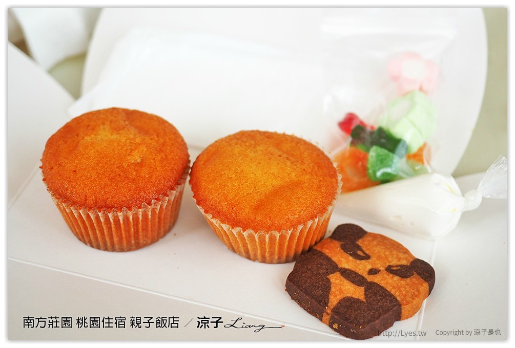 桃園親子住宿推薦-南方莊園渡假飯店 可以泡湯、游泳、風景很美、設施又超多的桃園親子飯店(美人魚房型、環境設施篇)