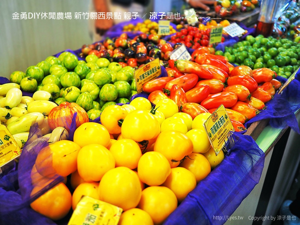 金勇DIY休閒農場 新竹關西景點 親子