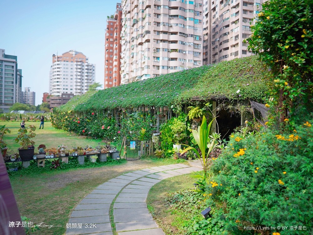 朝顏屋32k 菜單 桃園早午餐 桃園咖啡館 森林系溫室餐廳 披薩 桃園下午茶 隱藏版 貝果 停車 鐵路咖啡