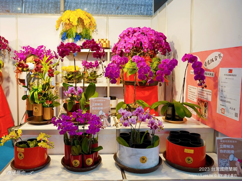 台灣國際蘭展 門票 2023時間 台南景點 魔境 恐龍 親子diy 必看亮點 台南限定蘭花