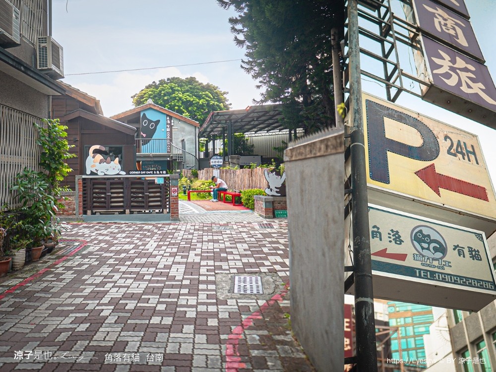 台南角落有貓 菜單 台南 貓咪咖啡廳 老宅餐廳 台南美食推薦 親子景點 日式老宅 貓奴 甜點