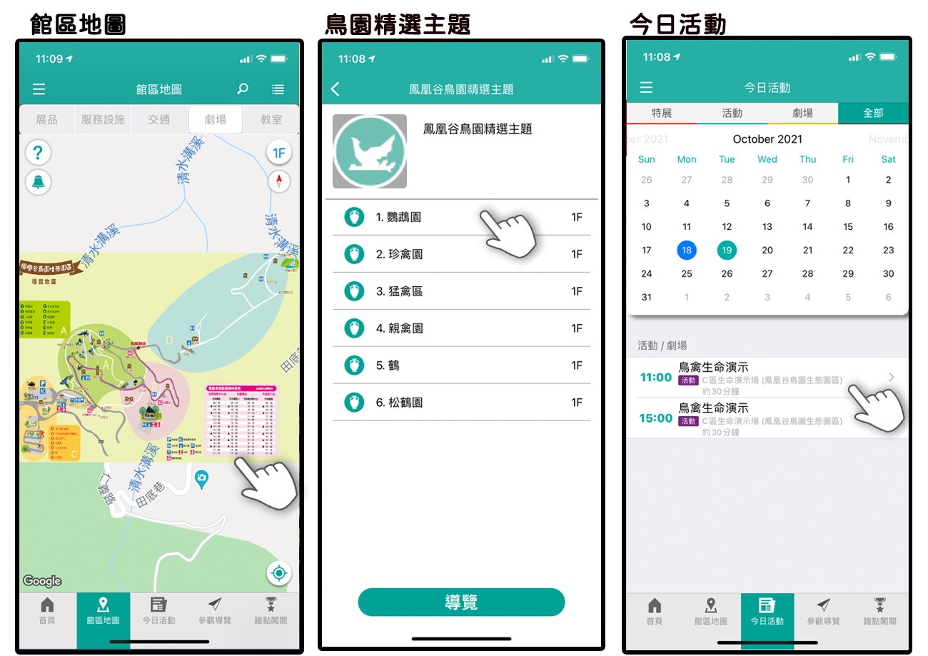 南投-鳳凰谷鳥園生態園區 推薦12大賞鳥主題區 x 森林溜滑梯 x 紙飛鳥DIY x 金剛鸚鵡互動 南投親子景點 來森林步道走走吧！