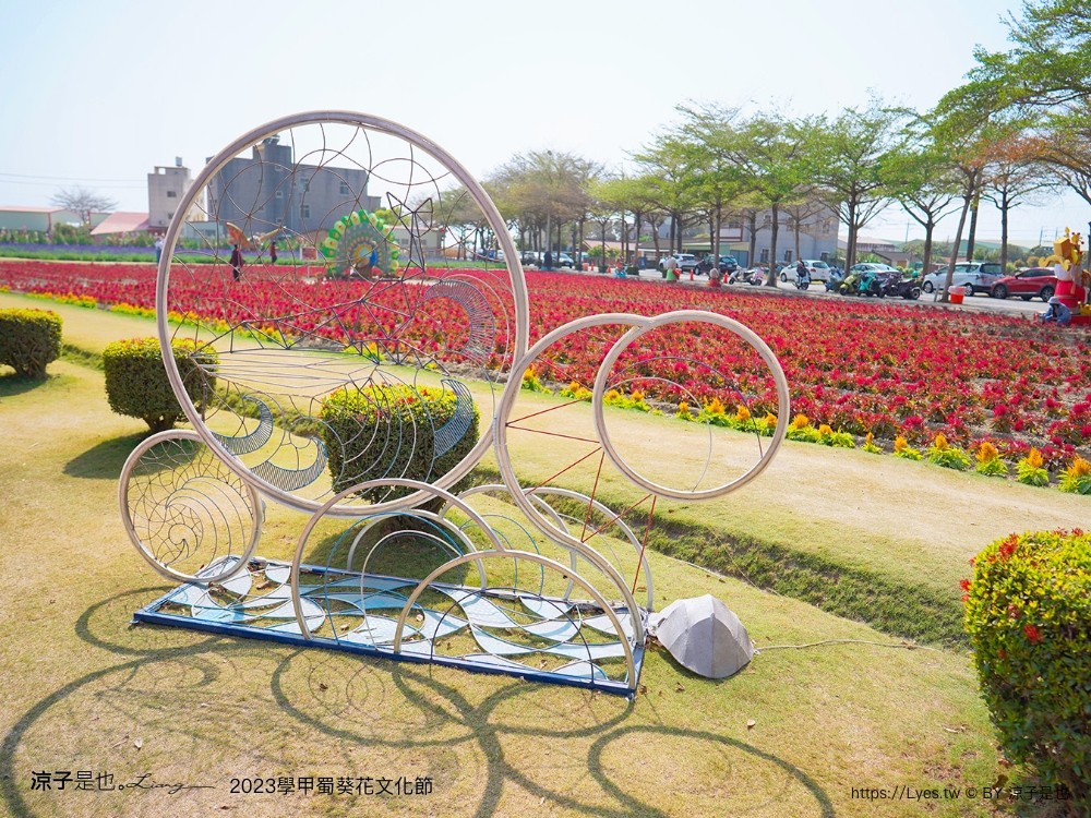 學甲蜀葵花文化節 2023 蜀葵花季 一丈紅迷宮 紫色鼠尾草 季節 花況 交通 學甲景點