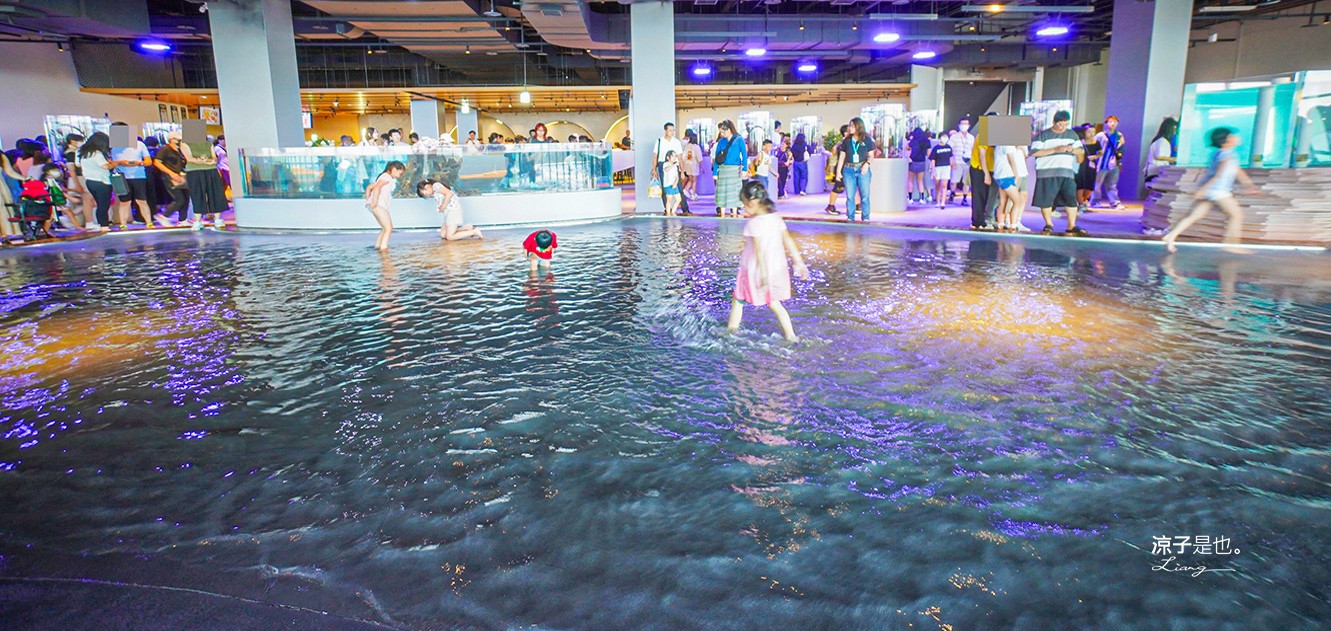 台中海洋館 門票優惠 交通 八大展區 免費票 台中親子景點 台中景點推薦 懶人包 攻略 必看特色