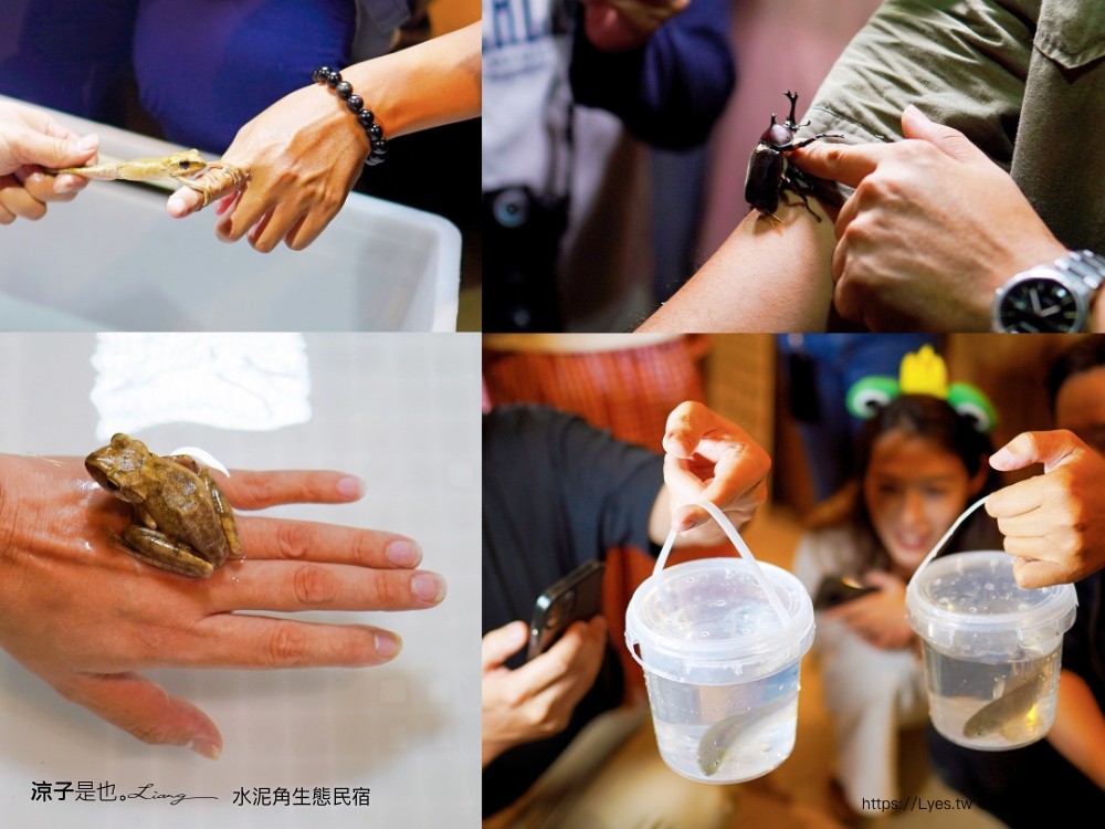 埔里住宿 水泥角生態民宿 南投埔里民宿 包棟民宿 生態導覽 房型 早餐 晚餐 桃米親水公園住宿 一泊二食