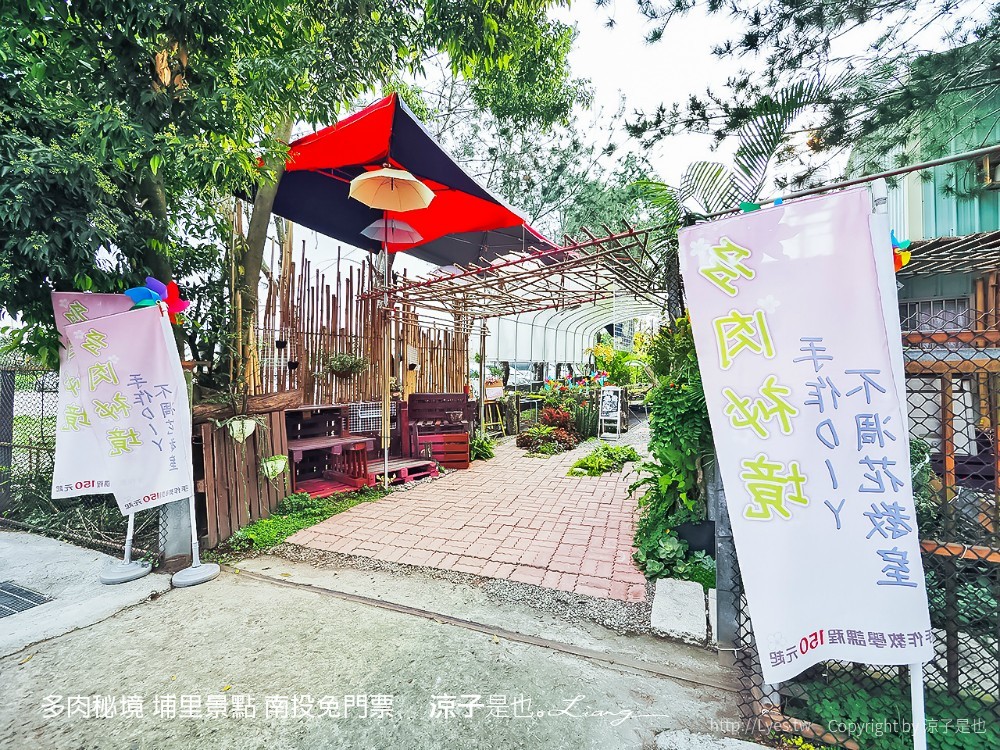 多肉秘境 埔里景點 南投免門票