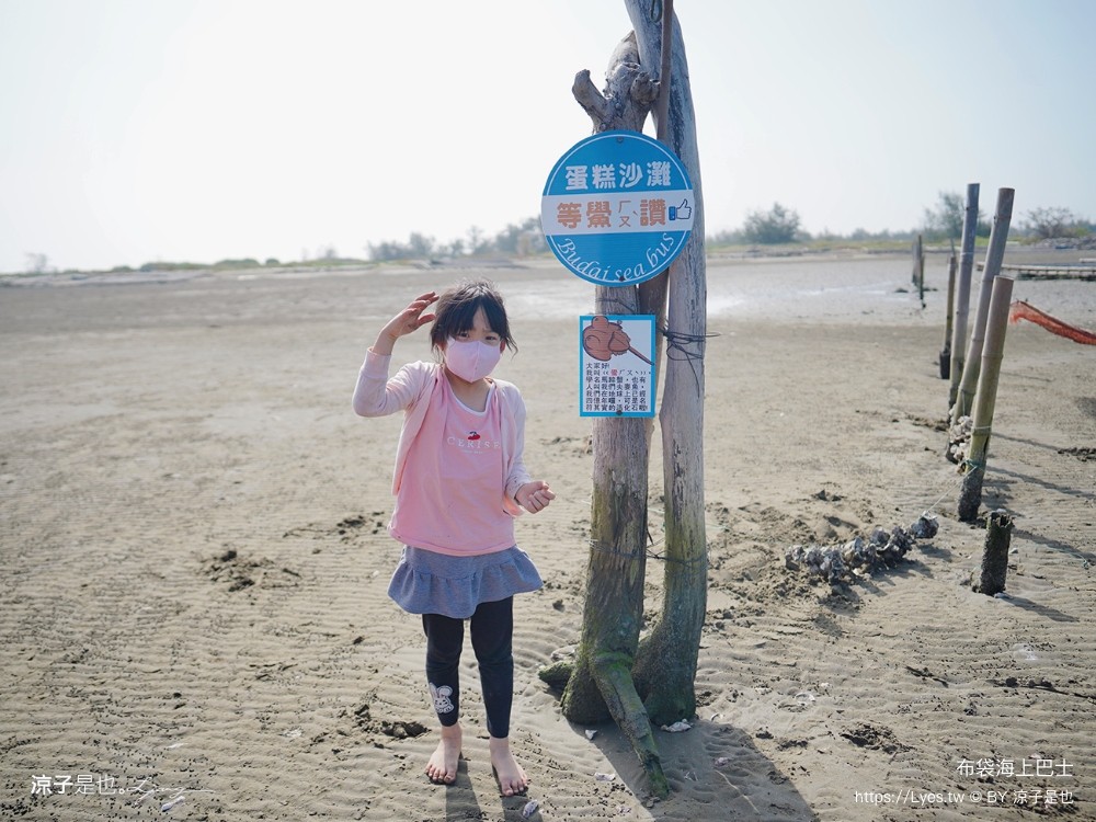 布袋海上巴士 嘉義親子景點 門票價格 蛋糕沙灘 網美拍照打卡 生態導覽