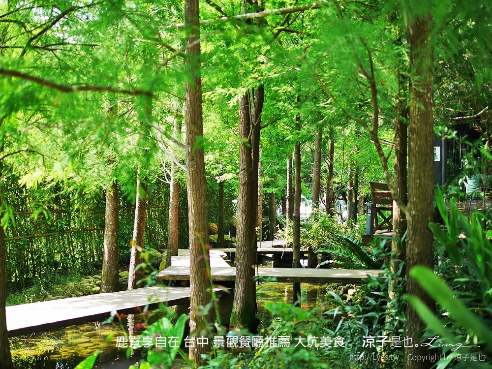 鹿寮享自在 台中 景觀餐廳推薦 大坑美食